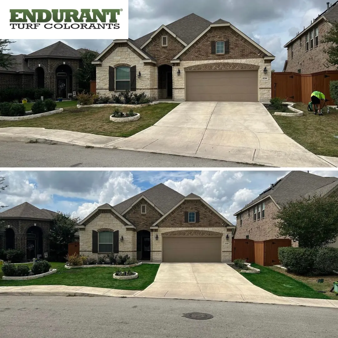 Transformación de césped residencial